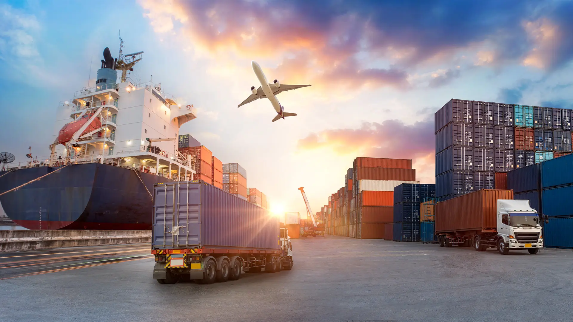 T-Trex Transportdiensten